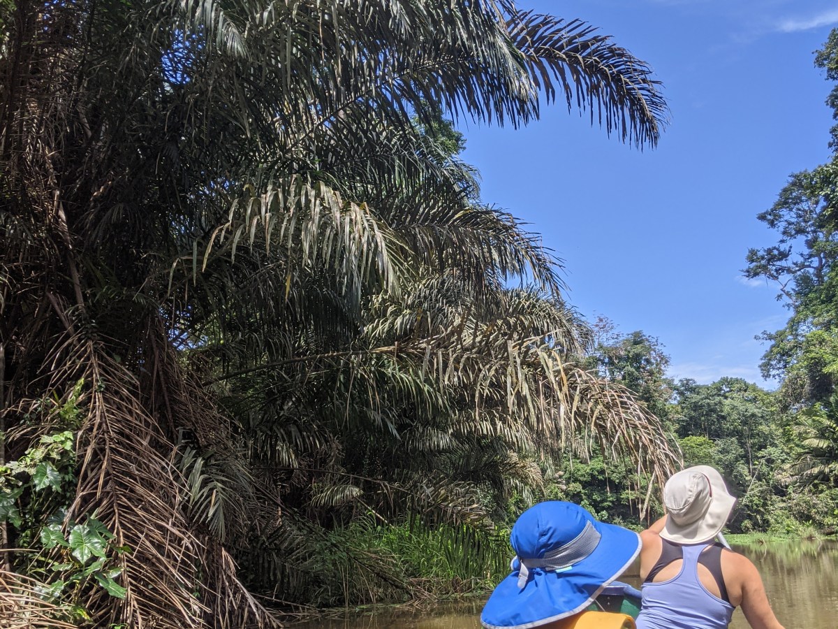 A twisted ankle, community, and a trip to the&nbsp;Carribean